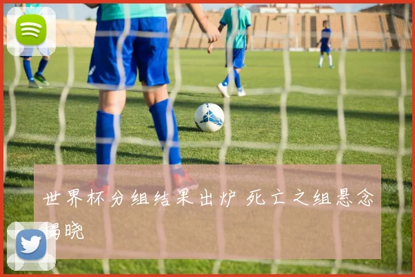世界杯分组结果出炉 死亡之组悬念揭晓